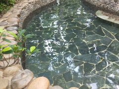 -三亚珠江南田温泉度假区