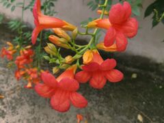 -杭州西湖风景名胜区-满觉陇四眼井