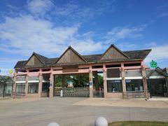 -上海都市菜园