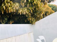 -一树一叶·福建茶档(石鼓路店)