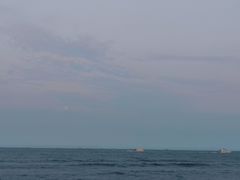 -日照海滨国家森林公园