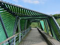 -西湖风景区-江洋畈生态公园