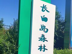 -长白岛森林公园