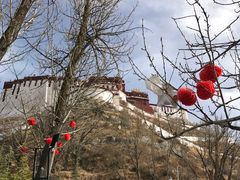 -宗角禄康公园