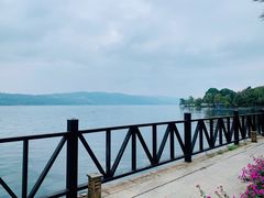 -阳宗海湿地