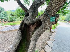 -吉姆冒险世界(蓟州店)