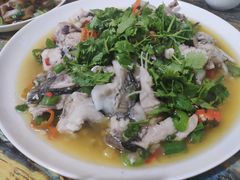 凉拌鱼-郑姐私房菜•家常菜
