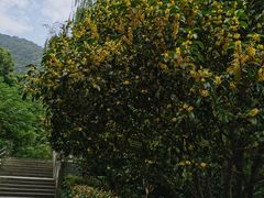 -杭州半山国家森林公园