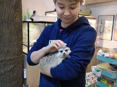 -藦茜花园宠物主题亲子互动体验馆(国顺东路店)