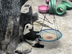 -农家土菜老煨锅(木鱼镇店)