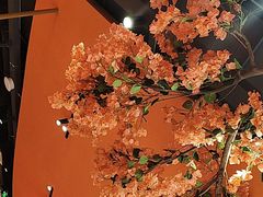 -鲸育宝宝月嫂(徐汇店)
