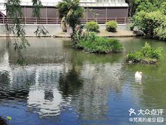 -水绘园