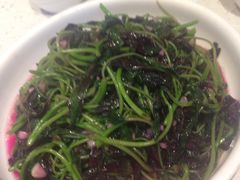 -蓉九•三十年品牌(武陵阁店)