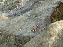 -后襄河公园