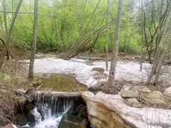 -五营红松林海景区