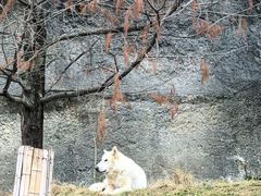 -杭州野生动物世界