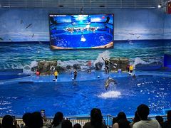 -多彩贵州城极地海洋世界