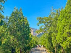 -禅宗少林·音乐大典