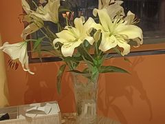 -怡心阁·水疗SPA(天府广场店)