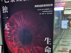 -ME怪兽·密室(江汉路店)