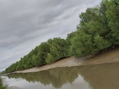 -崖口红树林海鲜餐厅