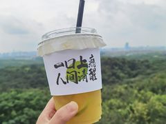 -老山国家森林公园