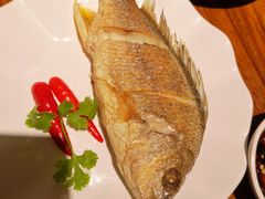 干煎黄翅鱼-全渔村小海鲜