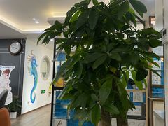 -Dr.Z dental仁康种植矫正中心