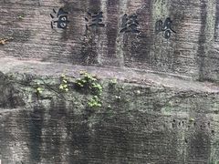 -蛇蟠岛