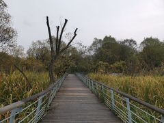 -西湖风景区-江洋畈生态公园