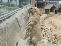 -大连森林动物园