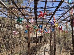 -南窖乡水峪村山情农家