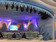 -帝企鹅自助餐厅•儿童岛•真企鹅(长隆企鹅酒店)