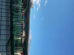 -宝安体育馆游泳馆
