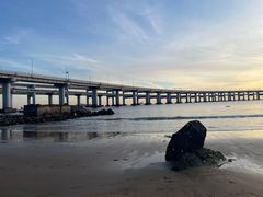 -星海湾跨海大桥