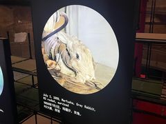 -上海当代艺术博物馆
