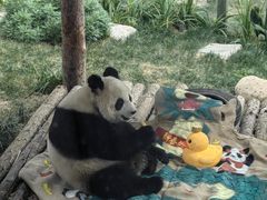 -大连森林动物园