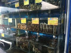 水产区-蚝专家(北滘店)