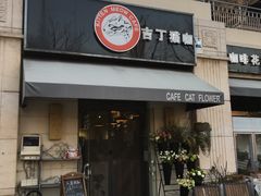 门面-吉丁鸟咖·异宠·寄养