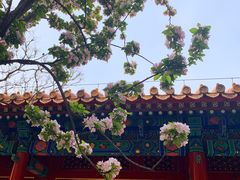 -故宫博物院(故宫)