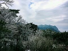-北山公园