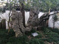 -秋霞圃
