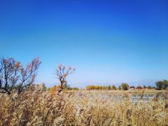 -野鸭湖国家湿地公园