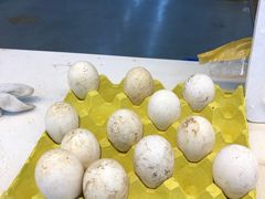 -农工商超市(古棕路店)