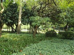 -晓港公园