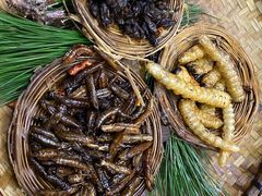 -昆虫窝子·特色云南菜(拓东路总店)