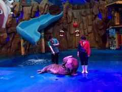 -烟台海昌鲸鲨海洋公园