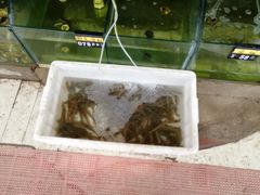 -四海鲜渔家菜(黄金海岸店)