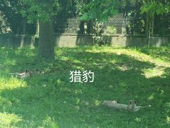 -上海野生动物园