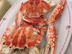 -金燕岛潮州酒楼